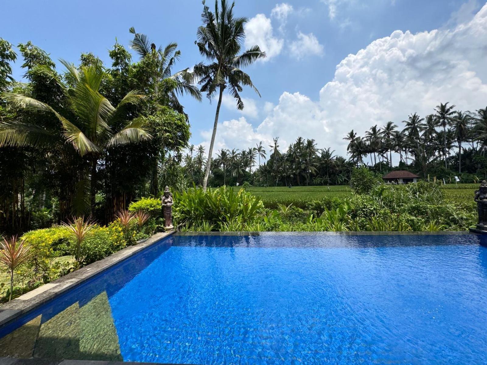 Sunset Pandawa Villa Ubud Exterior foto