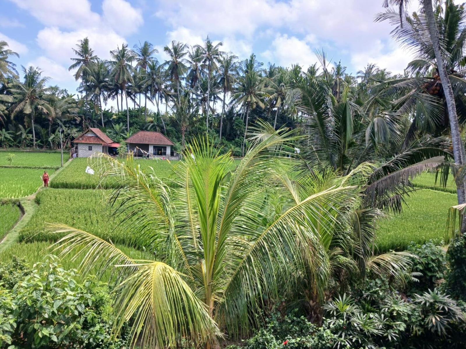 Sunset Pandawa Villa Ubud Exterior foto
